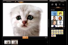 Filter Zoom Ubah Wajah Pengacara Jadi Kucing Saat Sidang Online