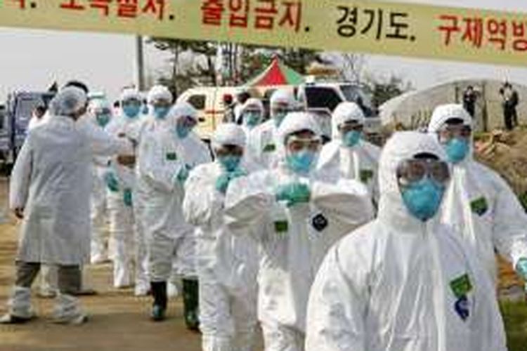 Para petugas karantina Korea Selatan berbaris ke sebuah peternakan unggas pada 15 April 2008, di Pyeongtaek, 70 kilometer selatan Seoul, di mana ditemukan banyak kasus flu burung. (Foto: Dokumentasi)