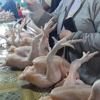 Daging ayam mengalami peningkatan harga selama bulan Ramadan.