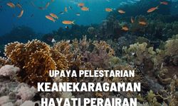 Bentuk Upaya Pelestarian Keanekaragaman Hayati Perairan