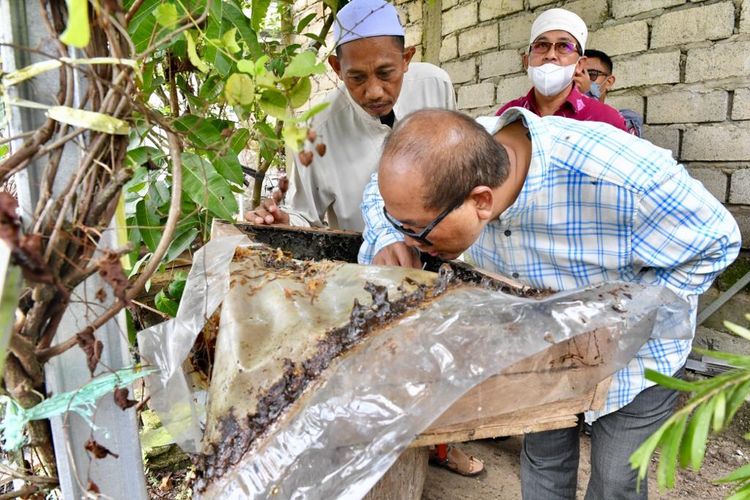 Sekretaris Kementerian Koperasi dan UKM Arif Rahman Hakim meninjau peternakan lebah Madu Kalulut milik Pondok Pesantren Mihbahlul Munir, Banjarbaru, Kalimantan Selatan pada Jumat (25/3/2022).