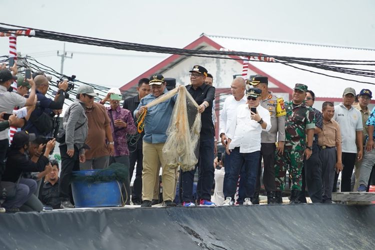 Wagub Kalteng Edy Pratowo melakukan panen perdana udang vaname di Kawasan Tambak Udang Shrimp Estate Berkah, Desa Sei Raja, Kecamatan Jelai, Kabupaten Sukamara, Sabtu (7/9/2024).