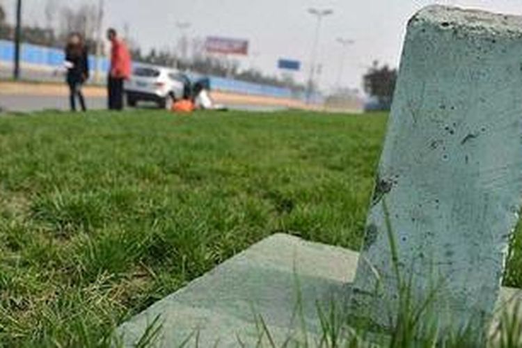 Menurut situs resmi Top Green, warna hijau tersebut "dapat bertahan" selama 10 sepuluh hingga 14 minggu. Pewarna ini juga tidak dapat tersapu oleh air hujan. Dalam situs tersebut juga disebutkan, bahwa warna tersebut juga akan mewarnai tanah.