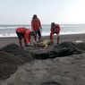 Mulut Penuh Sampah Plastik, Penyu Ditemukan Mati di Pantai Baru Bantul