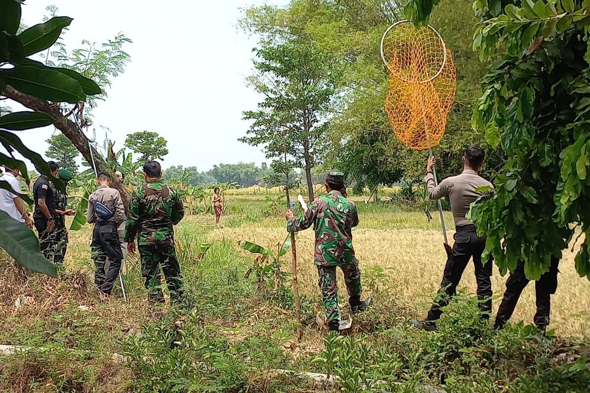 Jajaran kepolisian dan TNI Kabupaten Pasuruan berupaya melakukan penangkapan kepada diduga ODGJ, Thoriq (30) yang melawan dengan membawa celurit.
