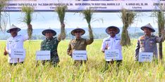 Pj Gubernur Sulsel Apresiasi Kolaborasi TNI dan Pemda dalam Tingkatkan Ketahanan Pangan di Pinrang