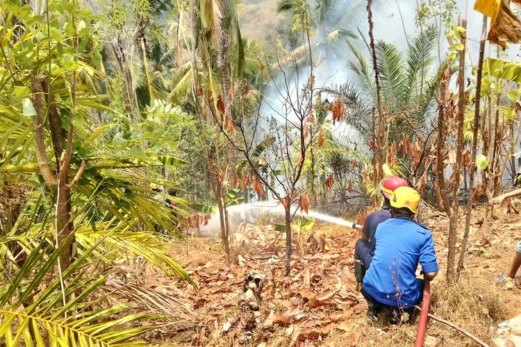 Seminggu Belum Padam, Karhutla di Lebani Mamuju Masuk Hutan Lindung dan Ancam Permukiman