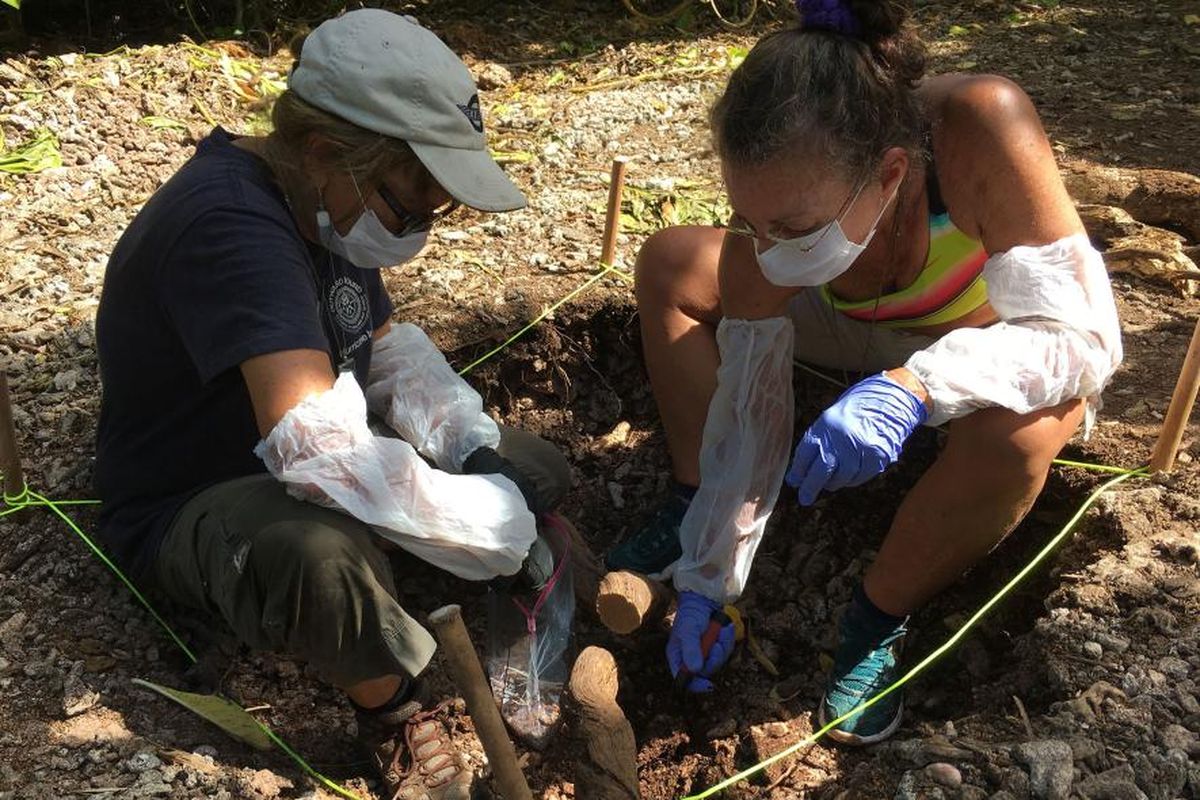 Arkeolog Dawn Johnson dan dokter Kim Zimmerman mengambil sampel tanah untuk dianalisis di laboratorium DNA.