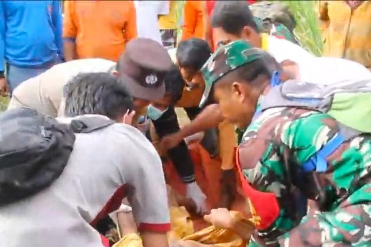 Evakuasi korban meninggal dunia di sawah tebu Lumajang, Senin (26/8/2024)