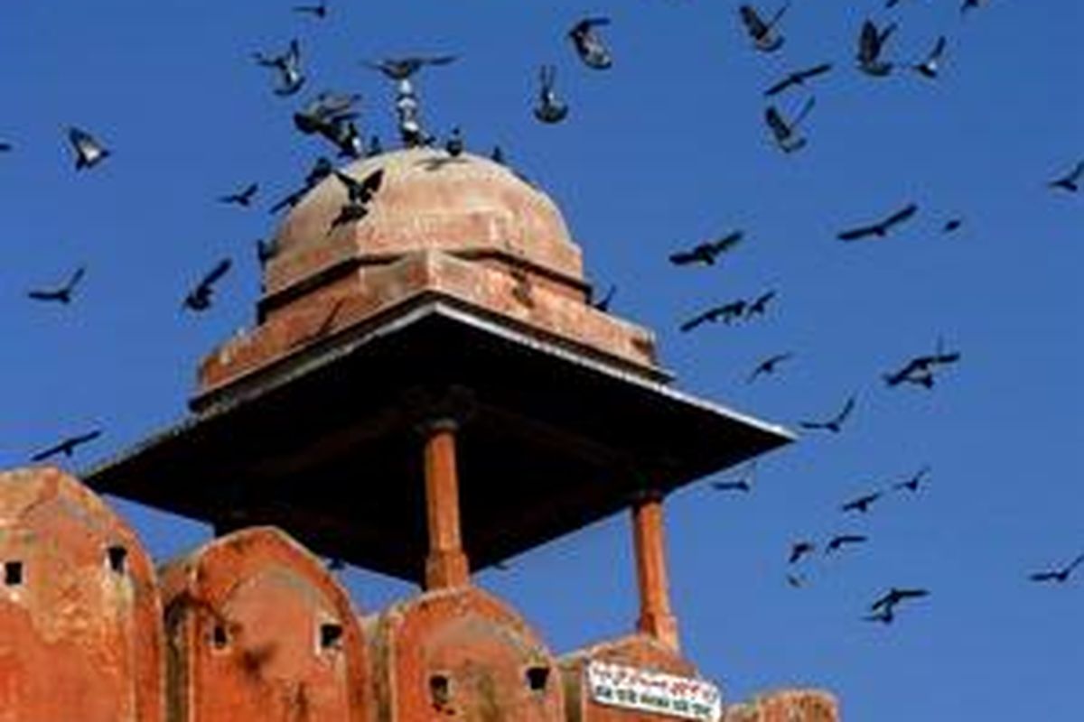 Jaipur, kota merah jambu. 