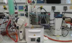 Riset BRDSM: Tanaman Herbal Jadi Solusi Obat Aman untuk Budidaya Ikan