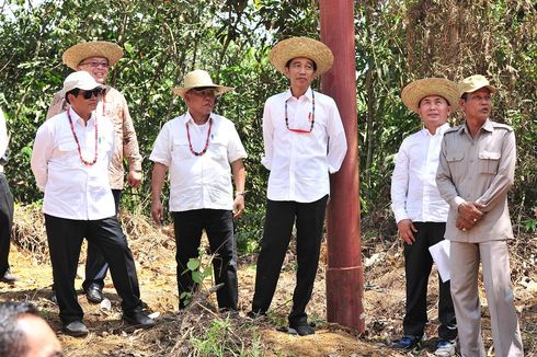 Kepala Bappenas: Kalimantan Ibu Kota Baru, Provinsinya Menyusul