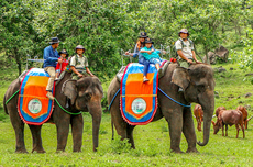 Dukung Konservasi Satwa Liar, Taman Safari Indonesia Dapat Penghargaan dari Malaysia