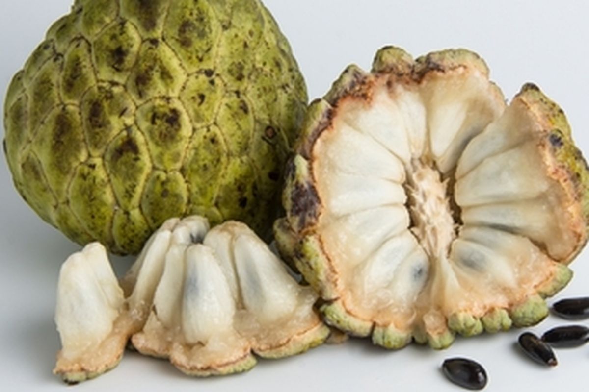 Ilustrasi buah srikaya