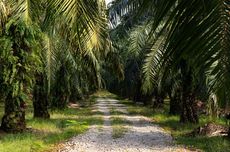 Pemerintah Pangkas Batas Pengeluaran Kawasan Berikat Jadi 25 Persen