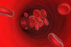 Fungsi Trombosit dalam Tubuh yang Bisa Mencegah Pendarahan