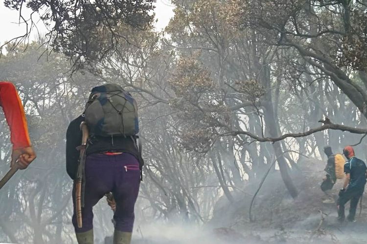 Kebakaran Gunung Gede Pangrango Hanguskan 20 Hektar Lahan