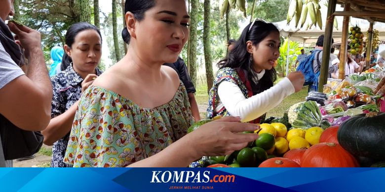 Titi Dj Terapkan Konsumsi Makanan Sehat Apa Manfaatnya