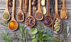 Konsumsi Meningkat, Kementan Perluas Kawasan Tanaman Rempah dan Obat