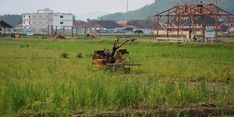 Trenggalek Siap Alihkan Fungsi Lahan Pertanian 