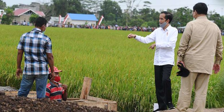 Presiden Joko Widodo (kedua kanan) didampingi Menteri Pertahanan Prabowo Subianto (kanan) meninjau lahan yang akan dijadikan Food Estate atau lumbung pangan baru di Pulang Pisau, Kalimantan Tengah, Kamis (9/7/2020). Pemerintah menyiapkan lumbung pangan nasional untuk mengantisipasi krisis pangan dunia.