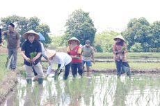 Kampanye di Banyuwangi, Cak Imin Dicurhati Petani soal Ketersediaan Pupuk dan Harga Jual yang Anjlok