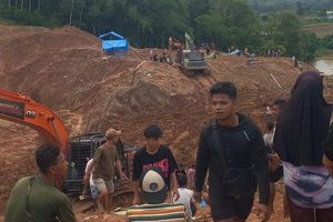 Wali Nagari Akui Sudah Minta Aktivitas Tambang Sijunjung Dihentikan sebelum Longsor dan Tewaskan 9 Orang