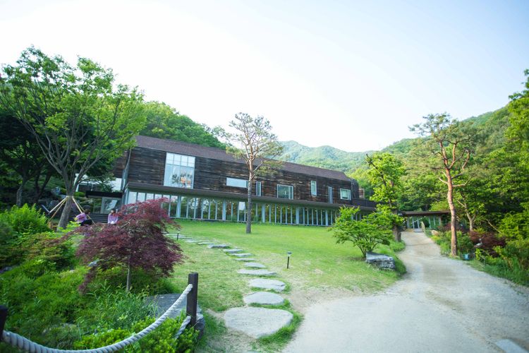 Ilustrasi Healience Seonmaeul, destinasi healing dan wellness tourism di Korea Selatan. 