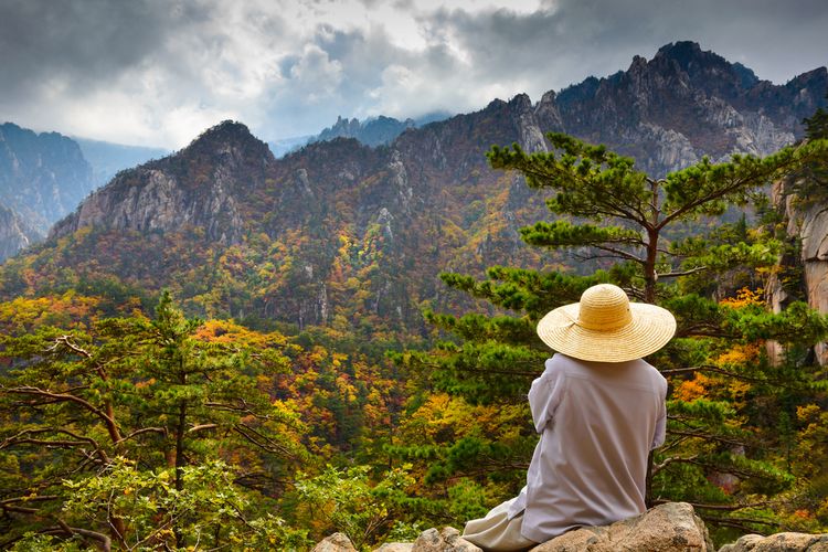 Korea Selatan menjadi salah satu tujuan wellness tourism bagi pelancong.