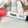Kasus Bakteri Shigella Kebal Obat Meningkat Tajam, AS Sebut Ancaman Serius