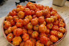 Banjir Bandang Terjang Kota Safi Maroko, 37 Orang Tewas