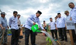 Lewat Perda Siak Hijau, Bupati Alfedri: Semangat Jaga Alam dan Lingkungan