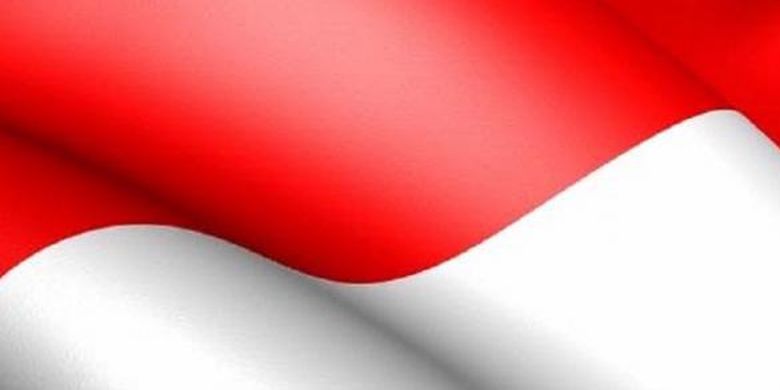 Perbedaan Bendera Indonesia Dan Monako Halaman All Kompas Com