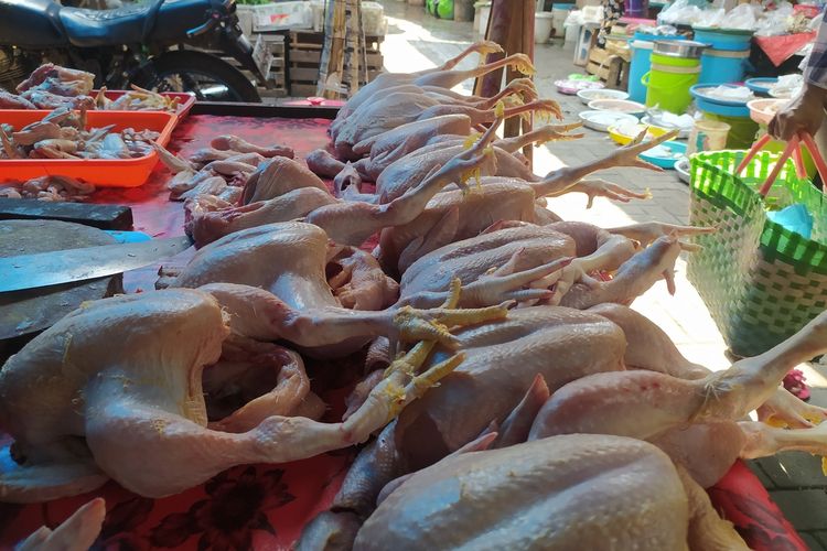 Daging Ayam Jadi Penyumbang Terbesar Inflasi Bulanan Jakarta Agustus 2026