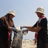 Peringati Hari Tanpa Kantong Plastik Sedunia, Dompet Dhuafa Volunteer Gelar Kuliah Online