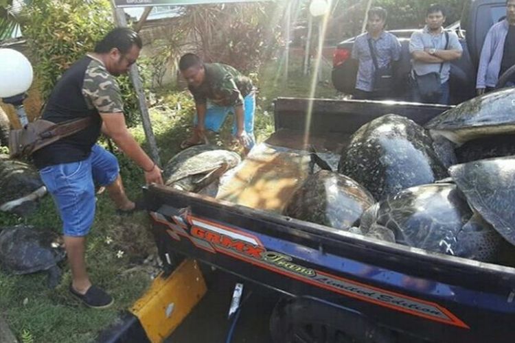 Truk berisi penyu yang alami kecelakaan di Jalan Sunset Road, Kuta, Senin (30/9/2019)