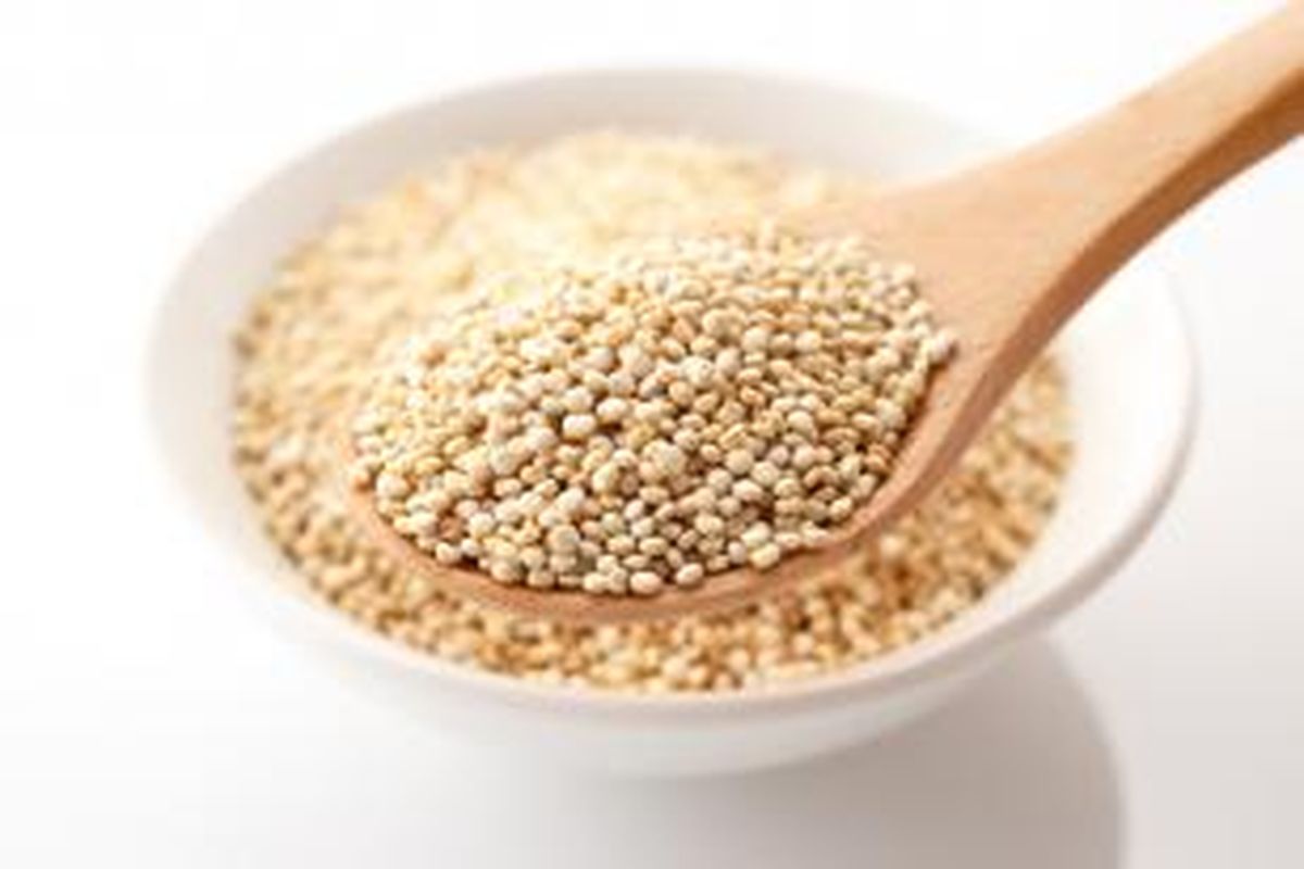 Ilustrasi Quinoa.