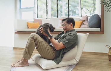 ilustrasi kucing dan pemiliknya. Trik berkomunikasi dengan kucing