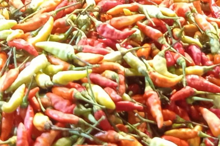 ILUSTRASI Cabai rawit. Harga bawang merah di Sulawesi Selatan pada Senin (9/6/2025) berada di angka Rp 11.333 per kilogram. Adapun cabai rawit merah melonjak hingga Rp 30.000 per kilogram. Harga cabai rawit dan beras naik selama masa tanam, ikut dorong inflasi Juli 2025.