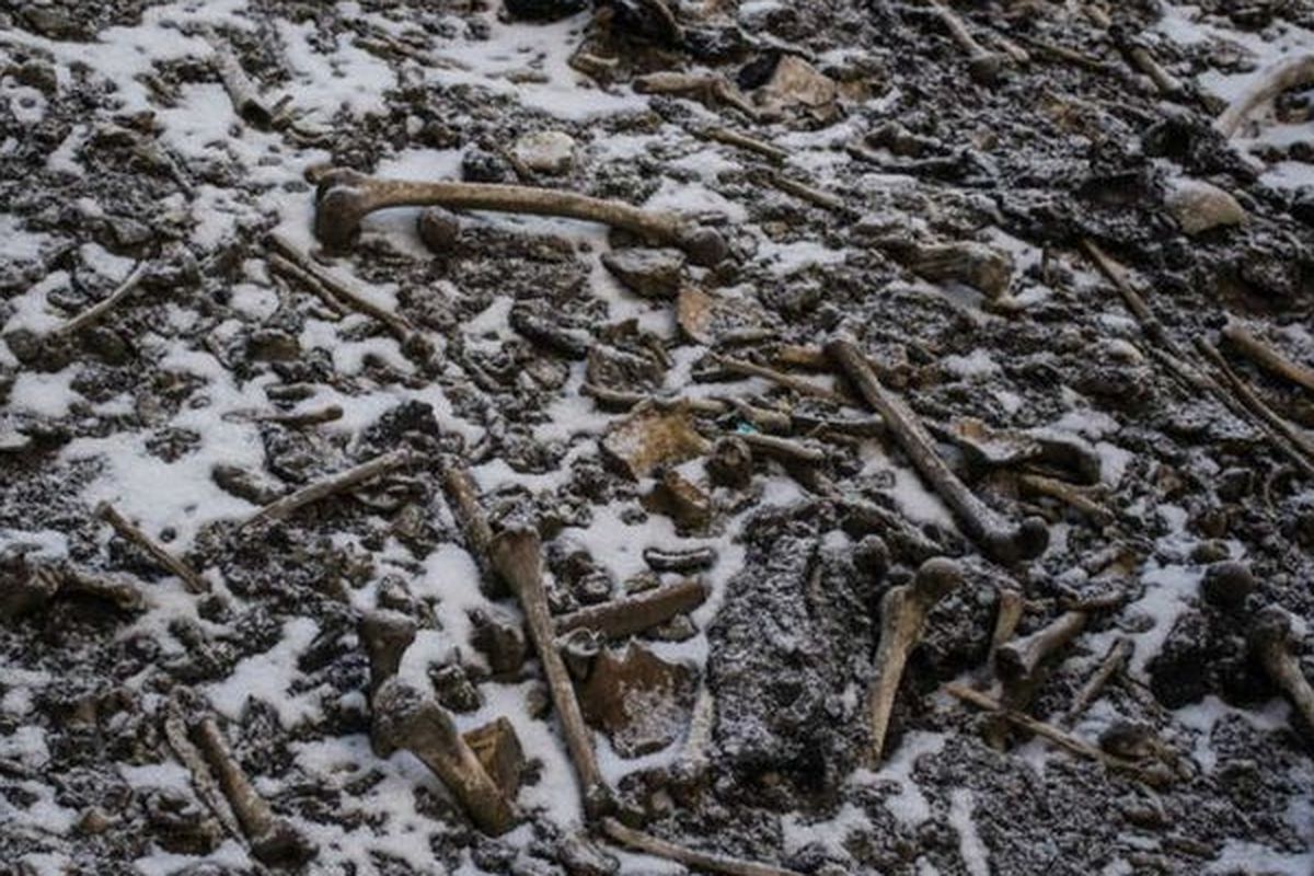 Sisa-sisa jasad dari 600-800 orang ditemukan di lokasi danau tengkorak India.