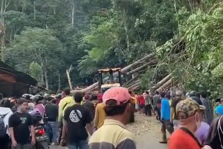 kemacetan terjadi akibat pohon tumbang di Kabupaten Kepahiang, Bengkulu