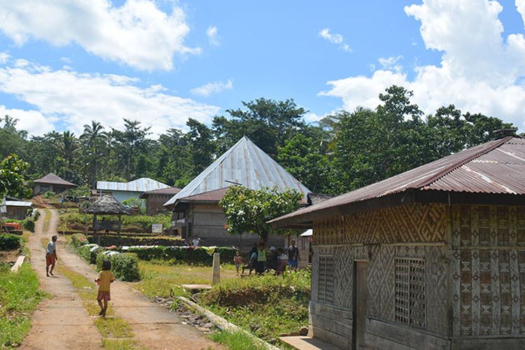 Perkampungan Tado, Desa Ranggu, Kecamatan Kuwus Barat, Flores Barat, NTT, Minggu, (31/3/2019). Ini destinasi wisata alternatif untuk menyaksikan proses produksi Gola rebok atau semut Kolang di luar kawasan Taman Nasional Komodo di Manggarai Barat. 