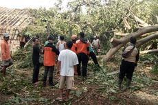 Pohon Beringin Berumur Seabad di Makam Keramat Tumbang Timpa 3 Rumah