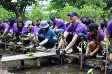 FedEx Berencana Merestorasi Mangrove di Area 10 Hektar Bengkalis