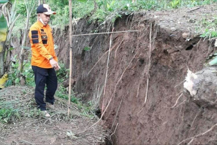 Petugas BPBD Cianjur memantau kondisi pergerakan tanah yang terjadi di Desa Rawabelut, Sukaresmi, Cianjur.