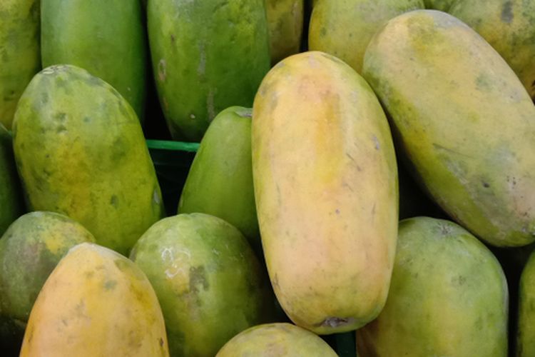 Ilustrasi buah pepaya California. 