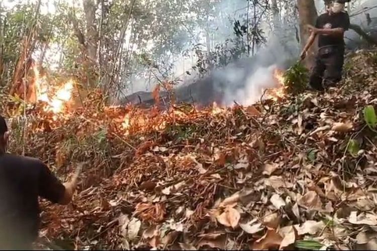 Tak Ada Akses Jalan, Damkar Kesulitan Padamkan Karhutla di Pegunungan Polman