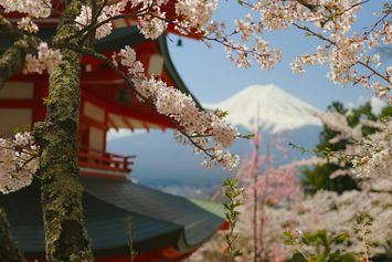 Total Biaya Hidup dan Kuliah di Jepang yang Harus kamu Ketahui Sebelum Berangkat!