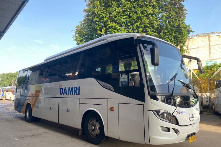 Bus DAMRI kelas bisnis