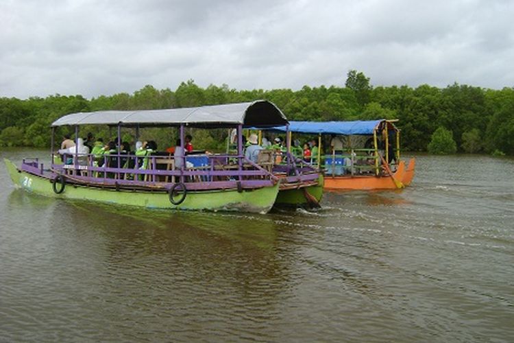 Menjelajahi mangrove Bedul di Taman Nasional Alas Purwo menggunakan perahu